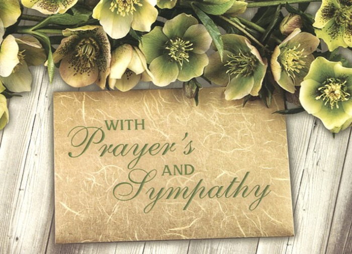 540-0623 Product Image 2