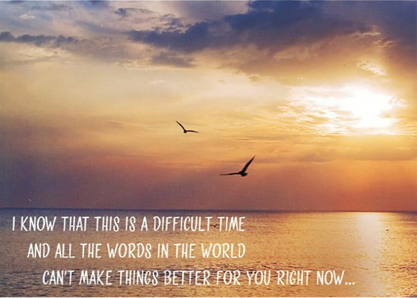 540-0627 Product Image 4