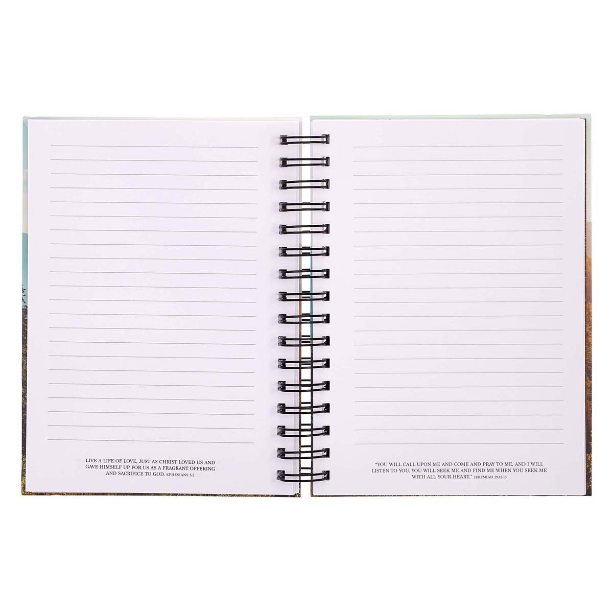 550-0031 Product Image 3