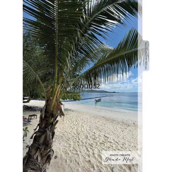 550-0052 Product Image 11