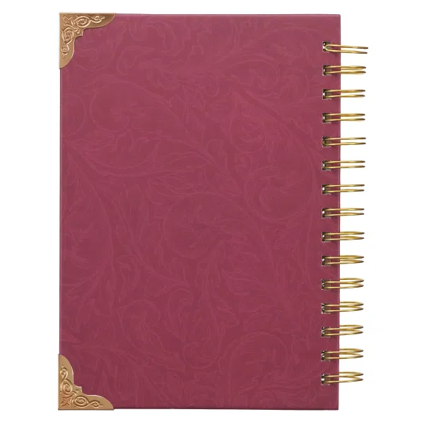 550-0066 Product Image 2
