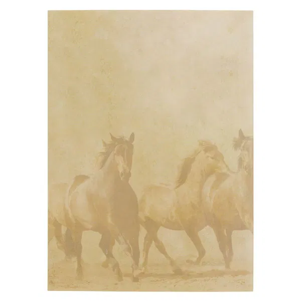 550-1038 Product Image 2