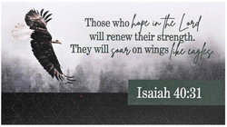 Image of Eagle Magnet Isaiah 40:31