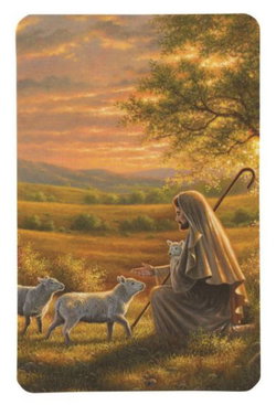 Image of Pocketcard: Jesus And The Lamb