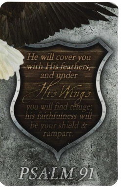 Image of Psalm 91 Eagle Pocketcard