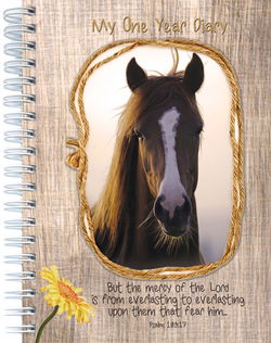 Image of One Year Diary: Mercy of the Lord