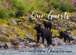 Image of Guest Book Golden Chain