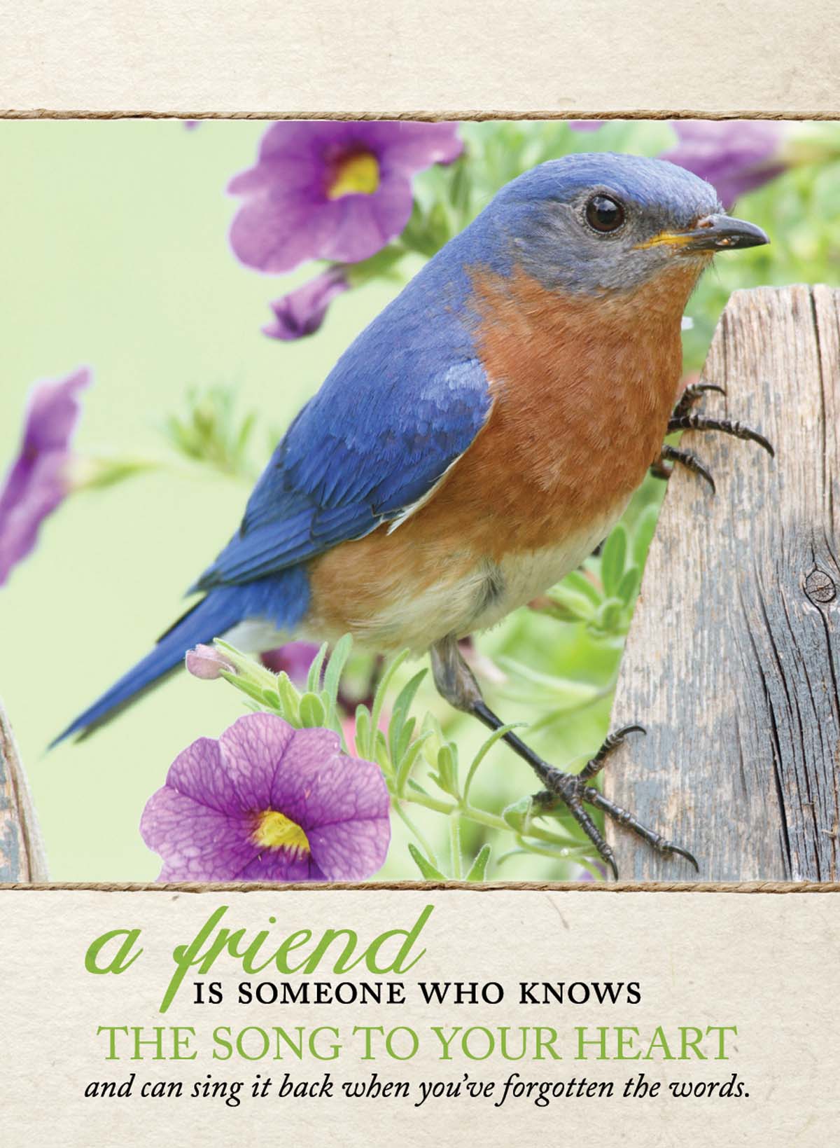 602-0511 Product Image 1