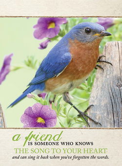 Image of Handy Tablet: Bluebird