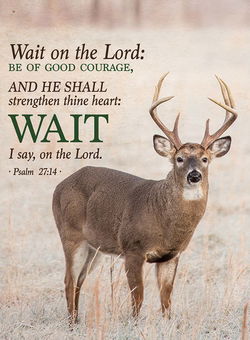 Image of Whitetail Handy Tablet