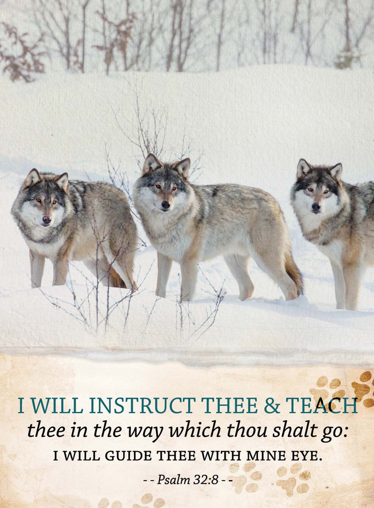 602-0514 Product Image 1