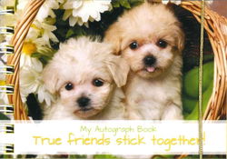 Image of Autograph Book: Stick Together