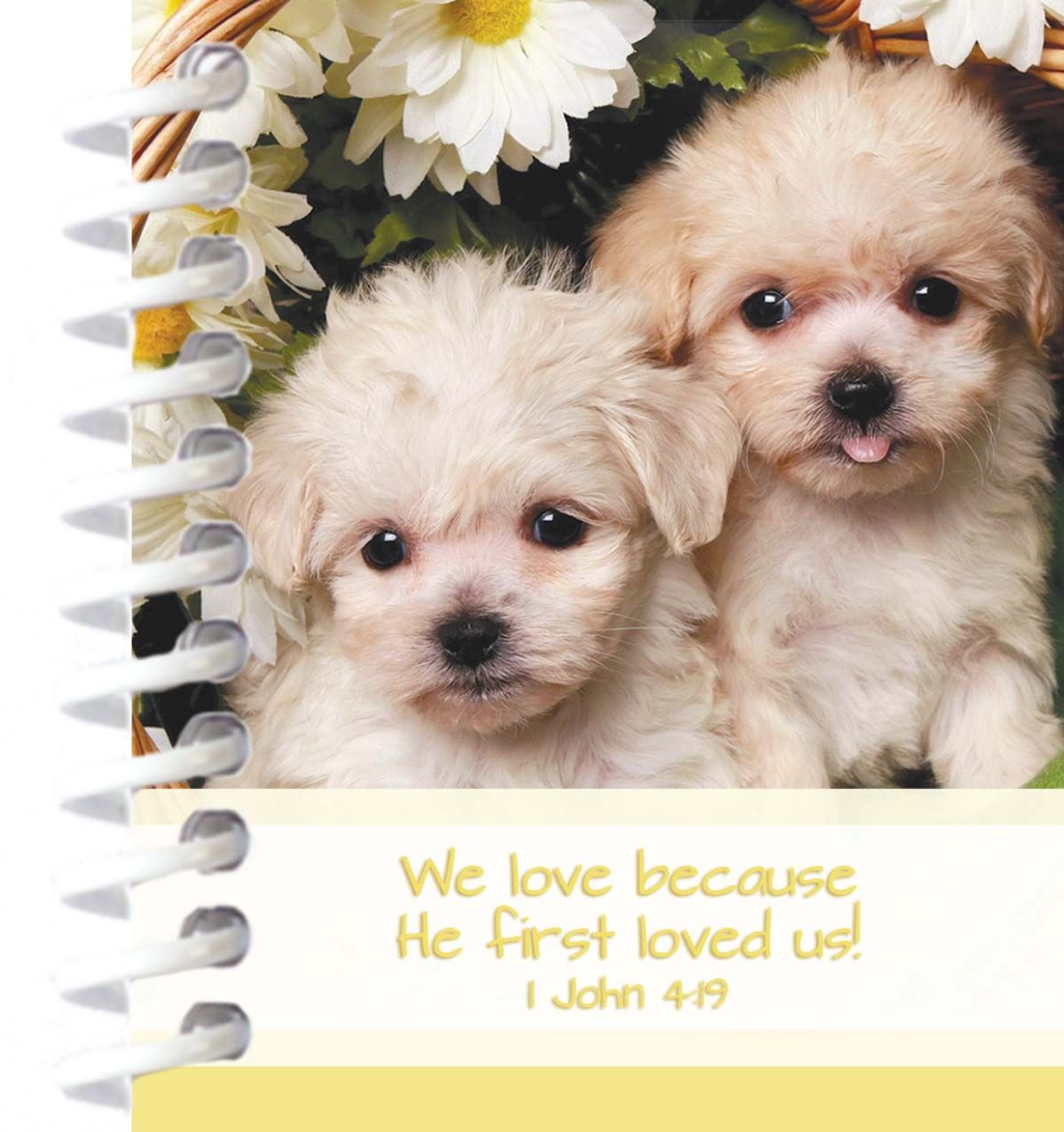 602-0836 Product Image 1