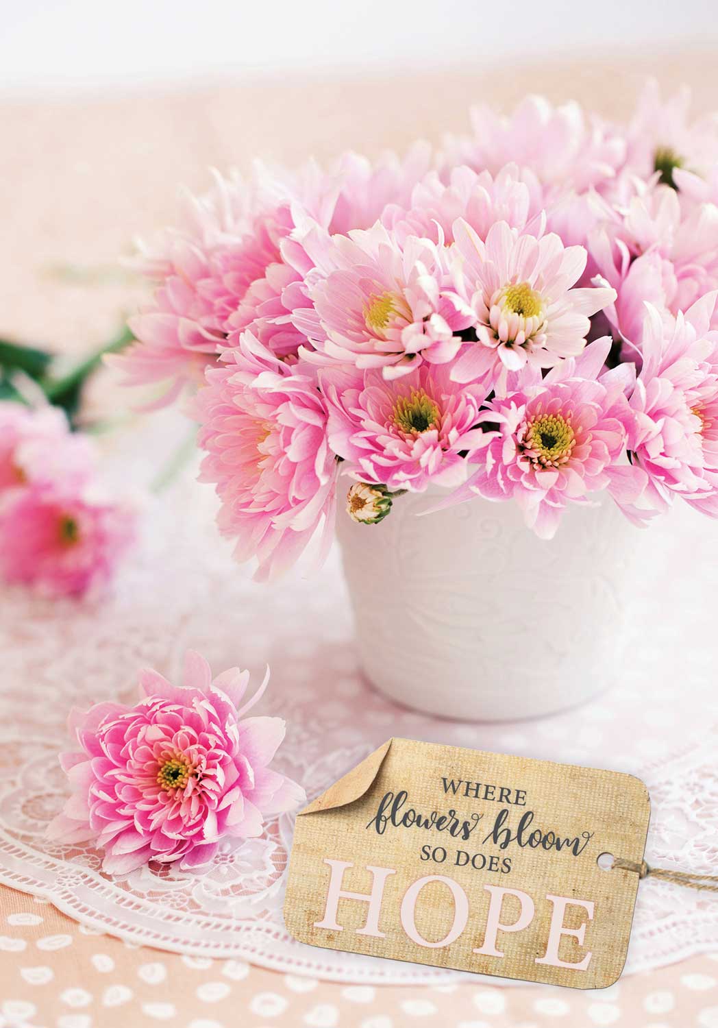 604-0156 Product Image 1