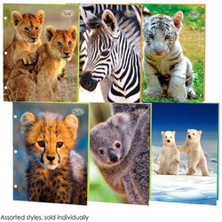 Image of Portfolio Wildly Cute Asst