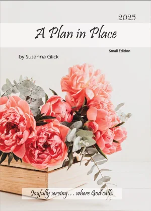 A Plan in Place 2025 - Mini