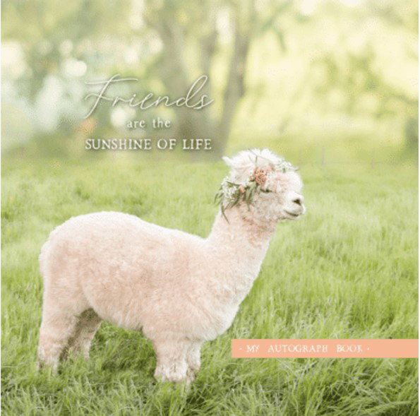 Image of Friends are the Sunshine of Life