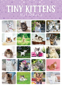 Image of Tiny Kittens Mini Stickers