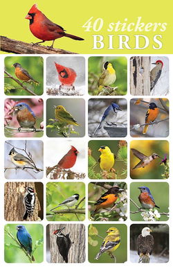 Image of Stickers Birds 40pk