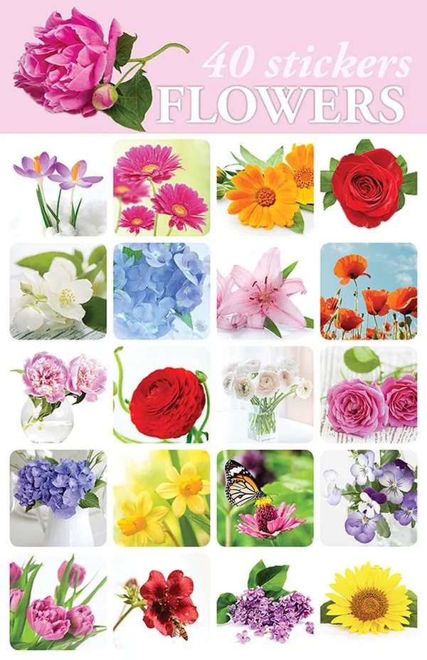 616-0533 Product Image 1