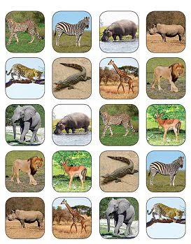 Safari Animals Stickers