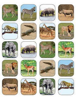 Image of Safari Animals Stickers