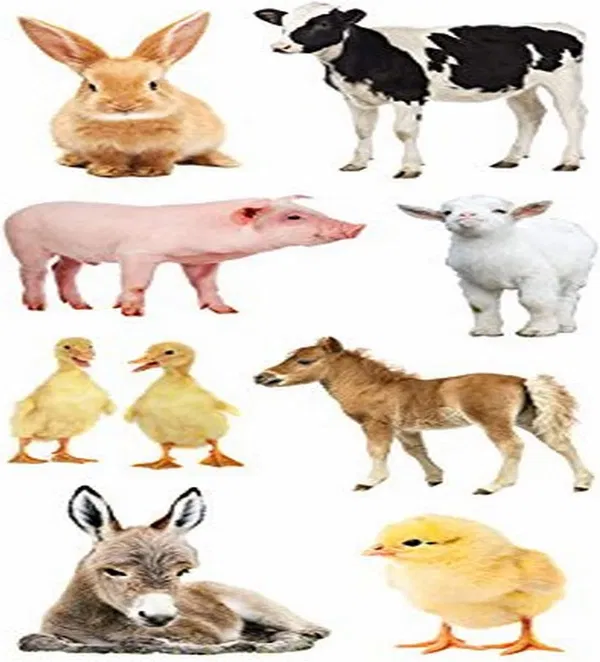 616-0733 Product Image 1