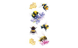 Image of Stickers Bees