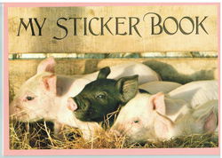 Image of My Sticker Album – Piglets – Collectors Book