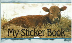 Image of My Sticker Album – Calf – Collector’s Album