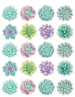 Image of Stickers Rustic Bloom Succulents