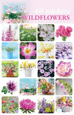 Image of Stickers Wild Flowers