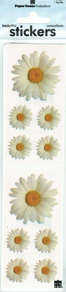 Image of Stickers Oxeye Daisy