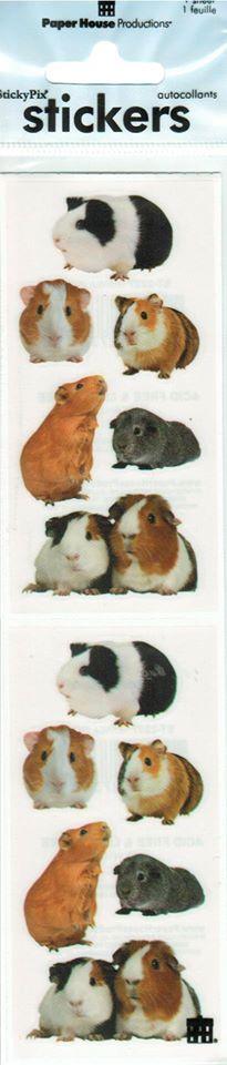 Image of Stickers Guinea Pigs
