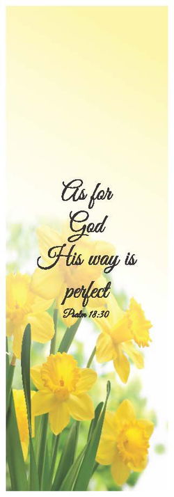 Image of Bookmark His Way Is Perfect