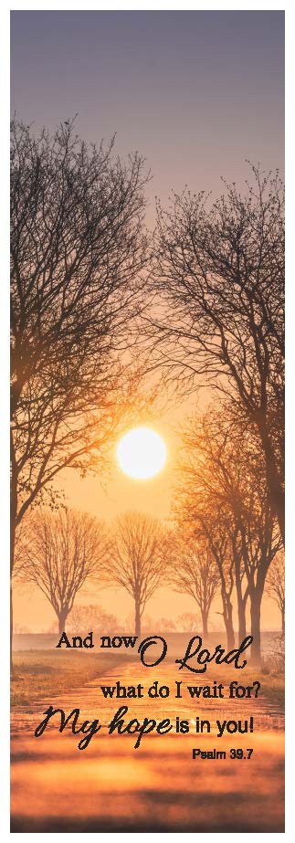 617-0023 Product Image 1