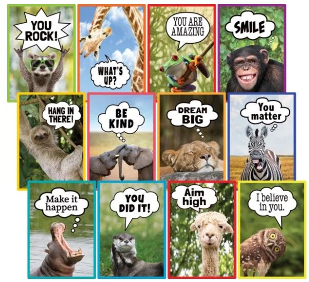 Image of Go Wild Animals Small Poster Pack