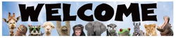Image of Go Wild Animals Welcome Banner