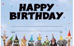 Image of Go Wild Animals Happy Birthday Awards