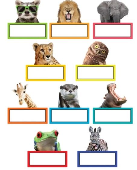 Image of Go Wild Animals Accents