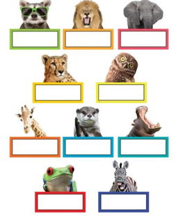 Image of Go Wild Animals Accents