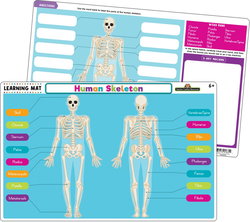 Image of Human Skeleton Learning Mat