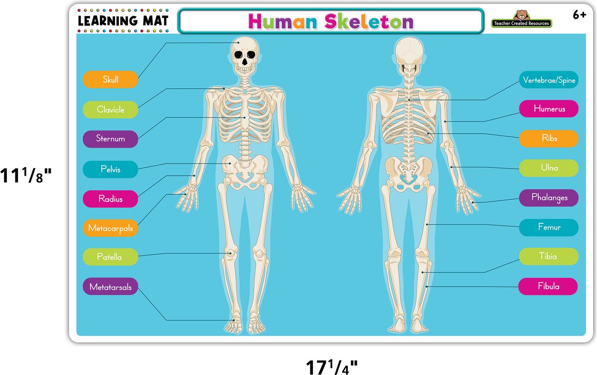 618-1360 Product Image 3