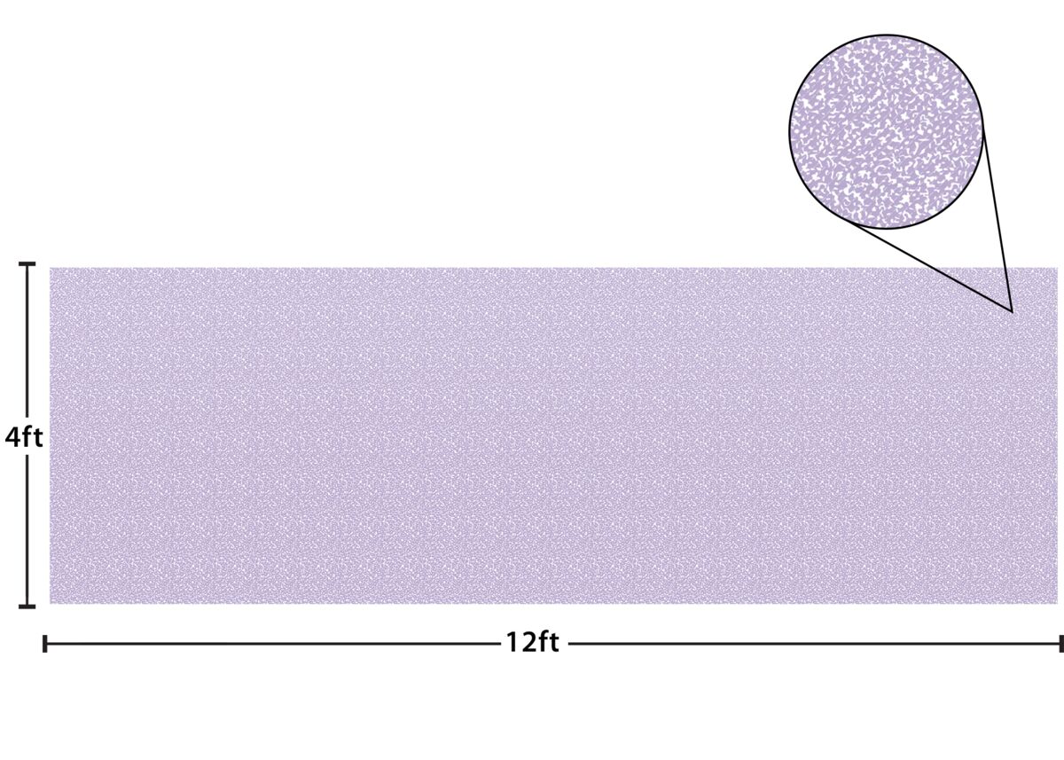 618-1389 Product Image 4