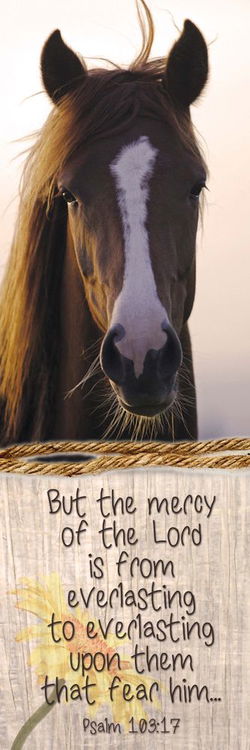 Image of Bookmark: Mercy – Horse, Psalm 103:17