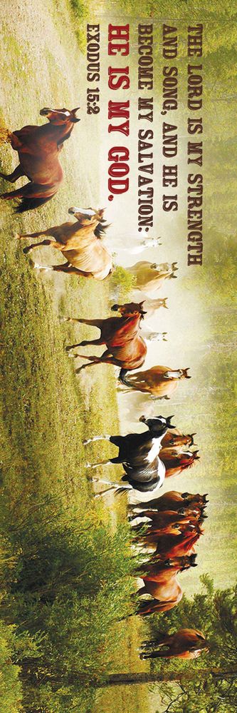 618-2493 Product Image 1