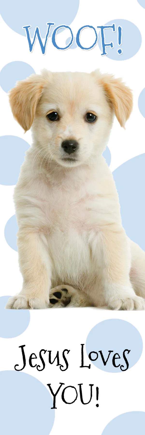 618-2781 Product Image 1