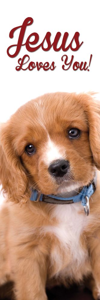 618-2784 Product Image 1