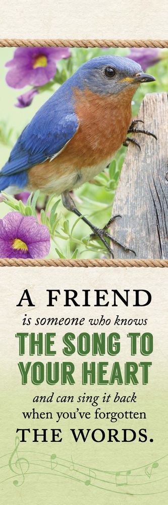 618-2796 Product Image 1