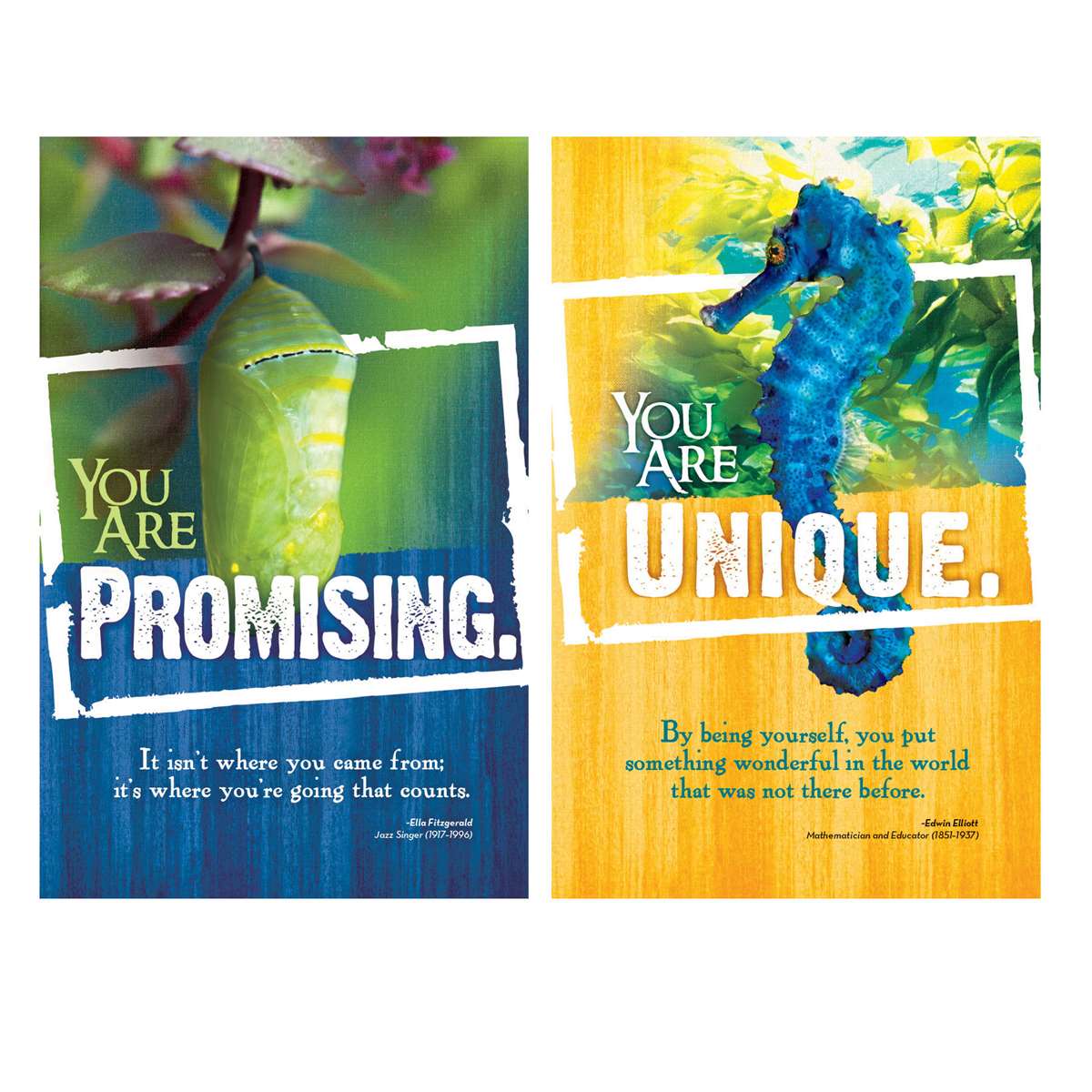 618-3173 Product Image 2